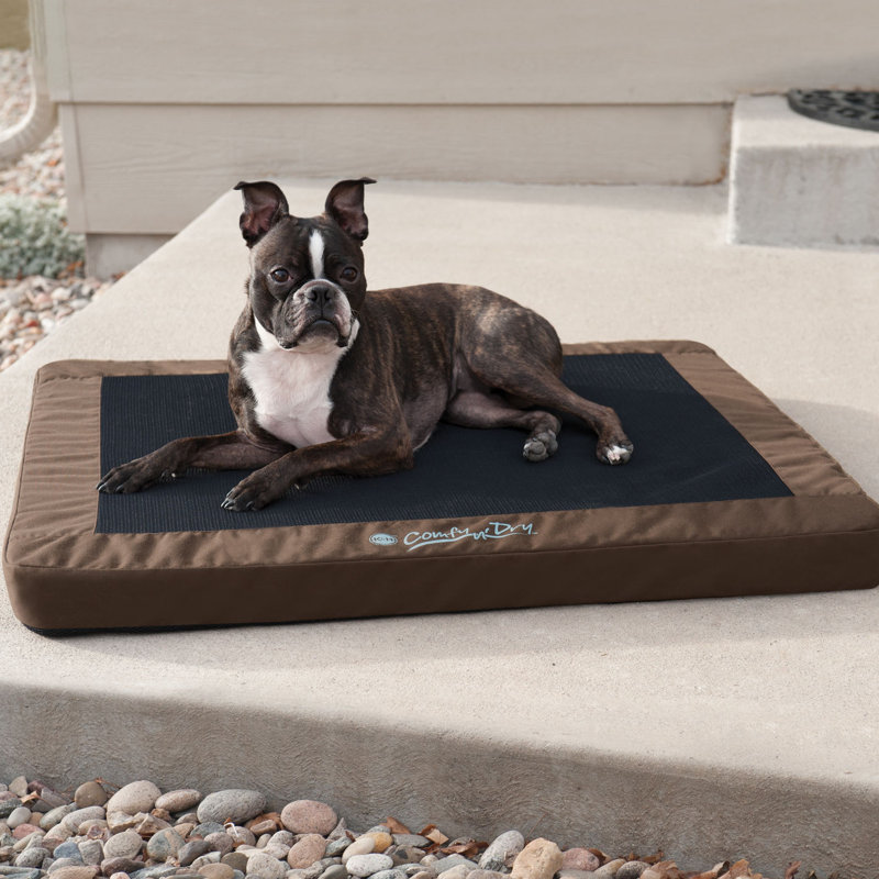 K&H Manufacturing Comfy N' Dry Indoor / Outdoor Dog Bed Wayfair